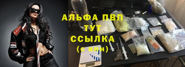 сатива Ельня