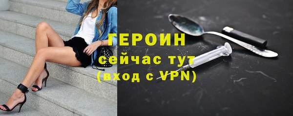 сатива Ельня