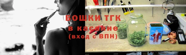 сатива Ельня