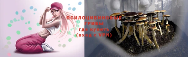 первитин Елабуга