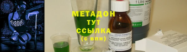 сатива Ельня