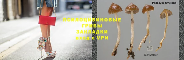 амфетамин Елизово