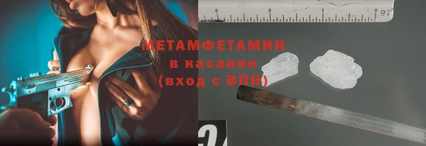 сатива Ельня