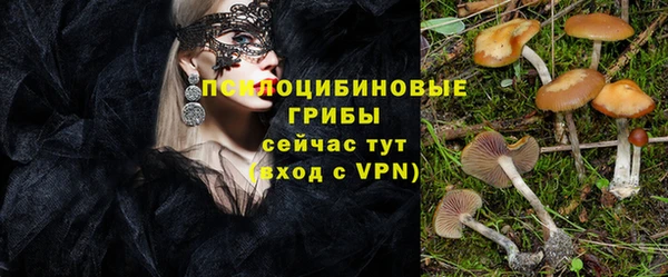 сатива Ельня