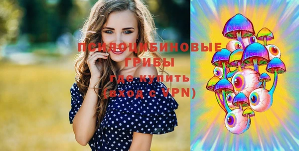 амфетамин Елизово