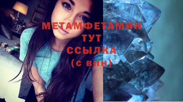 сатива Ельня