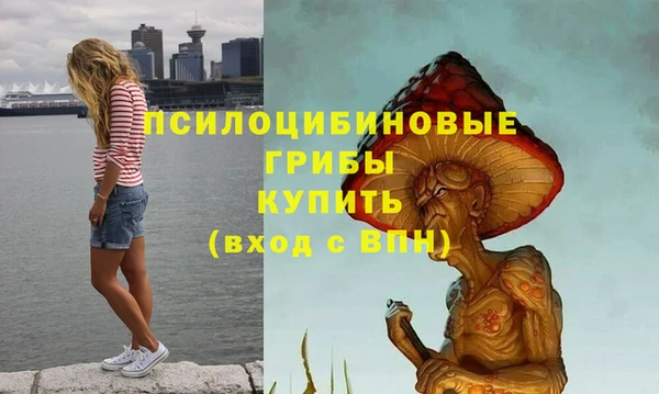первитин Елабуга