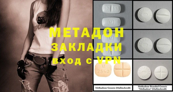 сатива Ельня