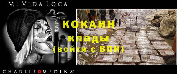 сатива Ельня