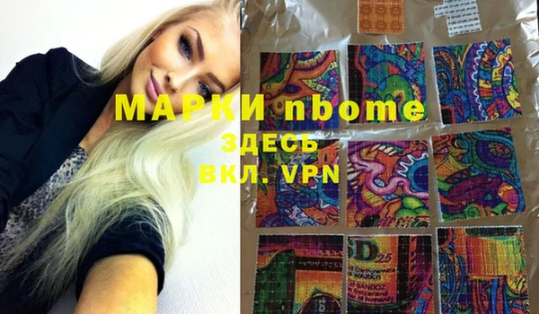 сатива Ельня