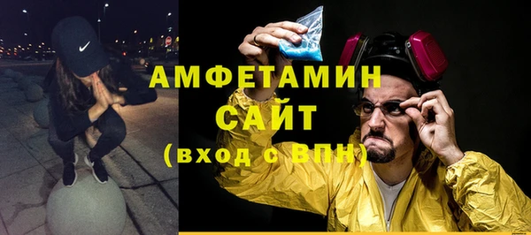 сатива Ельня