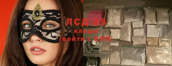 сатива Ельня